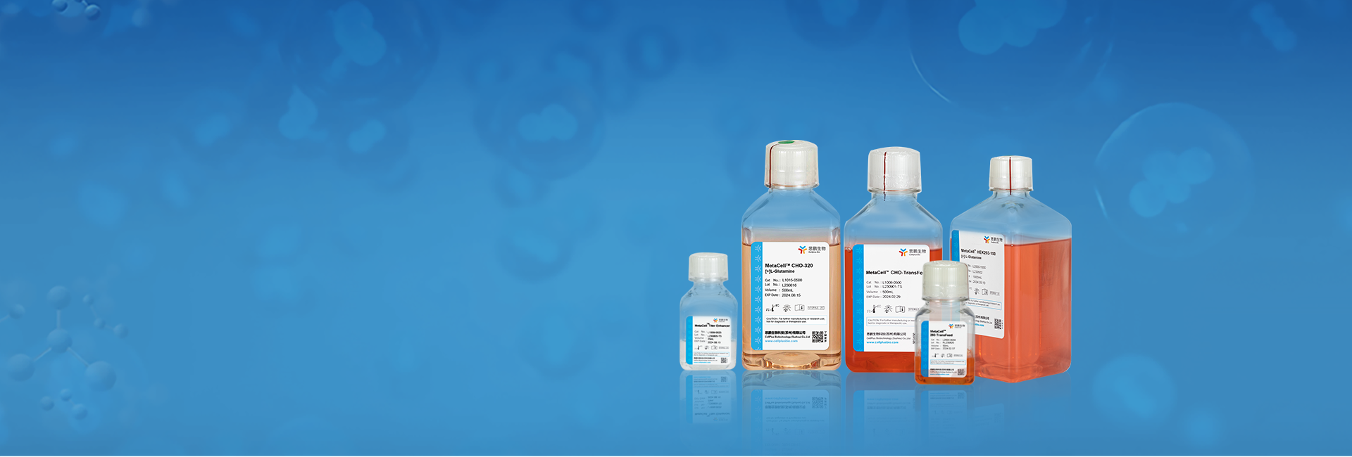 Transient Protein Expression