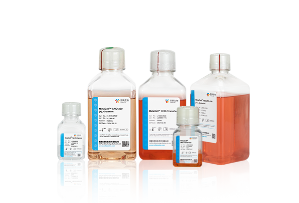 Transient Protein Expression