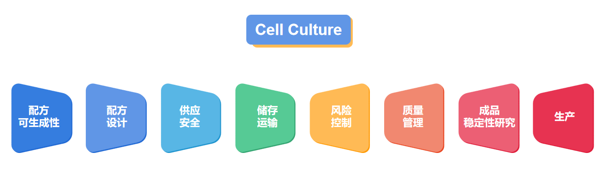 cell culture.png