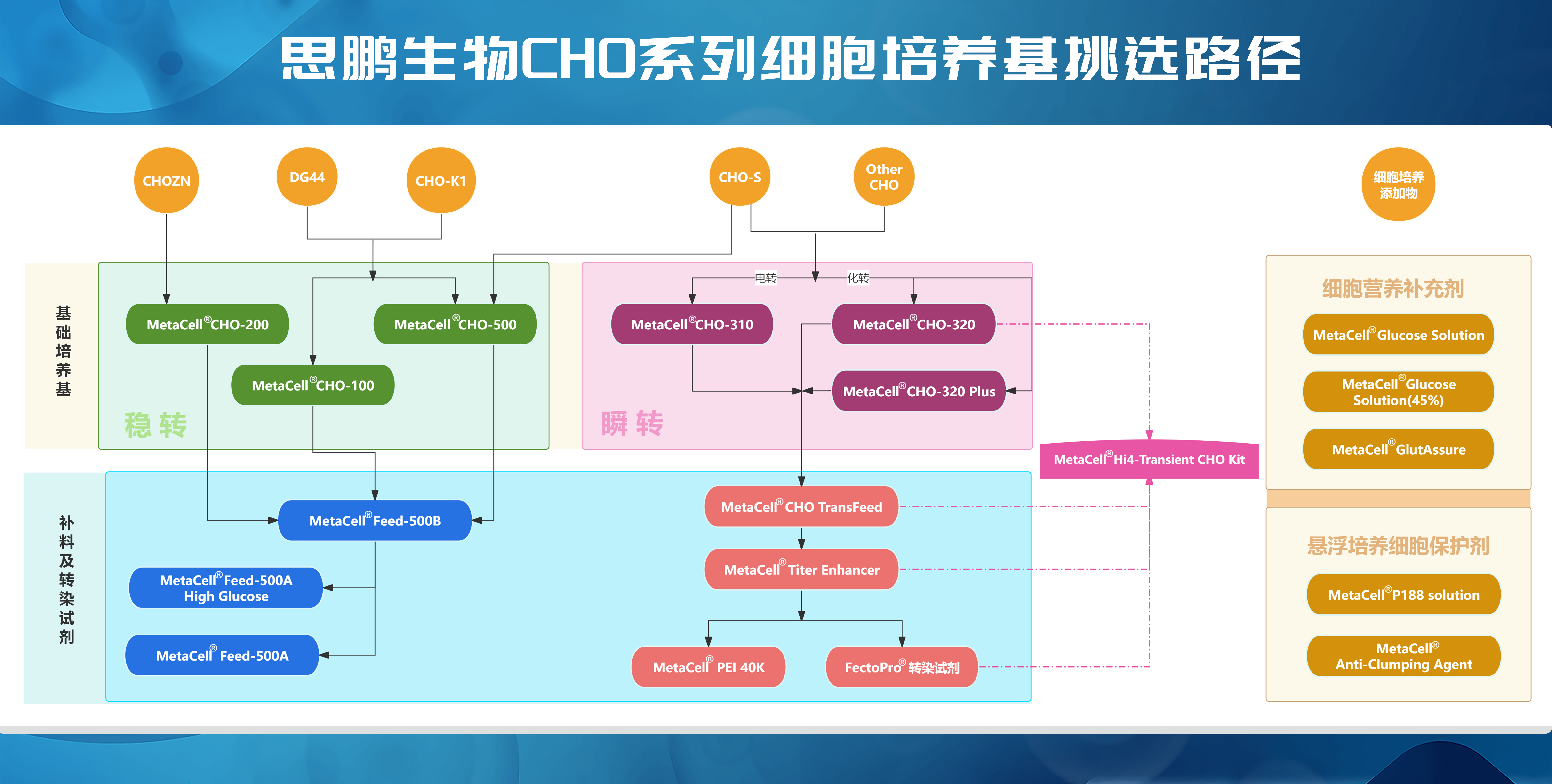 CHO产品选择路径 (1).png